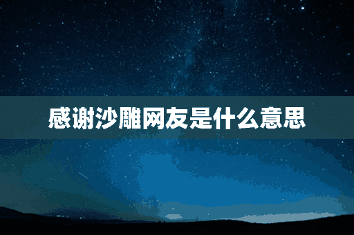 感谢沙雕网友是什么意思